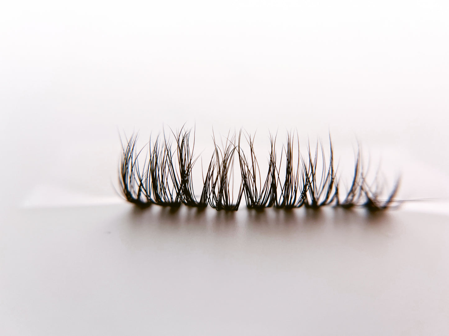 Natural Lash Single