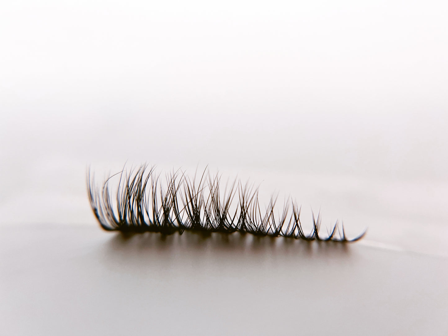Kitten Lash Single