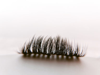 Wispy Lash - 3 Pair box