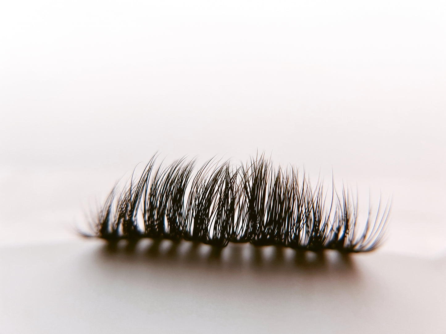 Wispy Lash Single