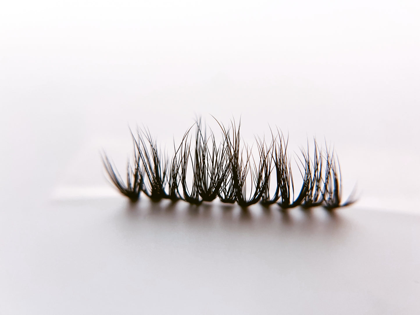 Wet Look Lash Single