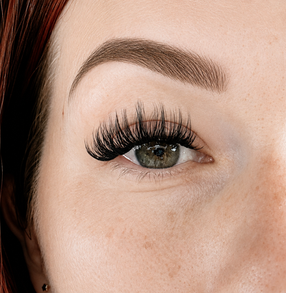 Volume Lash Single